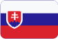 Překladatelská agentura Slovensky